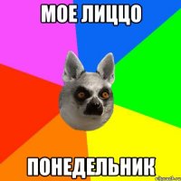 Мое лиццо Понедельник