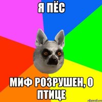Я пёс Миф розрушен, о птице