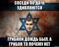 СОСЕДИ ПО ДАЧЕ УДИВЛЯЮТСЯ ГРИБНОЙ ДОЖДЬ БЫЛ, А ГРИБОВ ТО ПОЧЕМУ НЕТ