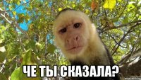  Че ты сказала?