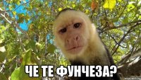  Че те Фунчеза?