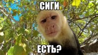 Сиги Есть?