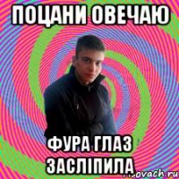 поцани овечаю фура глаз засліпила