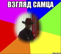 Взгляд самца 