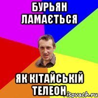 Бурьян ламається як кітайській телеон