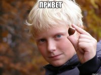 привет 
