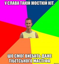 у слава такій жосткій кіт, шо смог виебать даже тібетського мастіфа