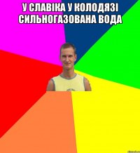 у славіка у колодязі сильногазована вода 