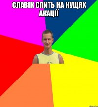славік спить на кущях акації 