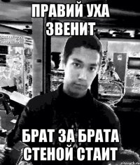 правий уха звенит брат за брата стеной стаит