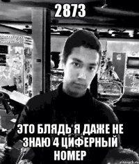 2873 это блядь я даже не знаю 4 циферный номер
