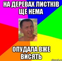 на деревах листків ще нема опудала вже висять