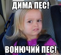 ДИМА ПЕС! ВОНЮЧИЙ ПЕС!
