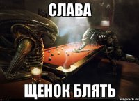 слава щенок блять