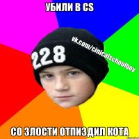 Убили в CS Со злости отпиздил кота