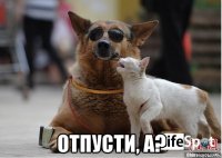  отпусти, а?