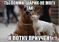 ты пойми, шарик-не могу так к лотку приучен!