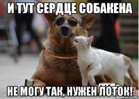 и тут сердце собакена не могу так, нужен лоток!