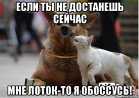 если ты не достанешь сейчас мне лоток-то я обоссусь!