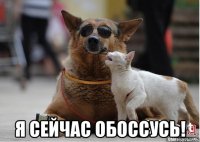  я сейчас обоссусь!