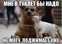 мне в туалет бы надо не могу, поджимает уже