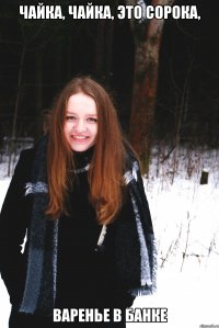Чайка, чайка, это сорока, ВАРЕНЬЕ В БАНКЕ