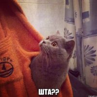  ШТА??
