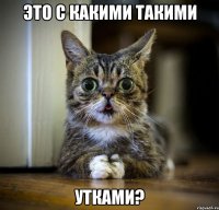 Это с какими такими Утками?