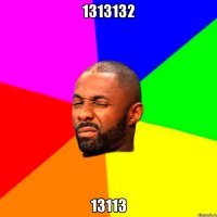 1313132 13113
