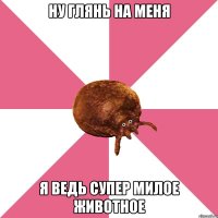 ну глянь на меня я ведь СУПЕР милое животное