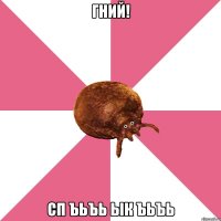 Гний! сп ъьъь ык ъьъь