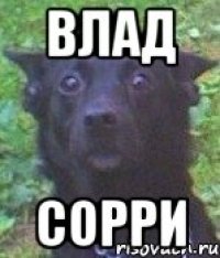 влад сорри