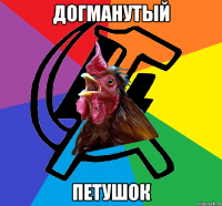 Догманутый петушок