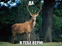 Да я тебе верю