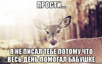 Прости... я не писал тебе потому что весь день помогал бабушке