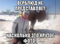 Верблюд не представляет насколько это крутое фото!