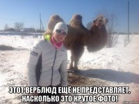  Этот верблюд ещё не представляет, насколько это крутое фото!