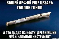 Вашей арфой ещё цезарь галлов гонял А это дудка из кости! древнейший музыкальный инструмент