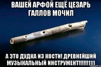 Вашей арфой ещё цезарь галлов мочил А это дудка из кости! древнейший музыкальный инструмент!!!!!!111