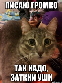 ПИСАЮ ГРОМКО так надо, заткни уши