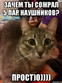 зачем ты сожрал 5 пар наушников? прост)0))))