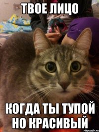 твое лицо когда ты тупой но красивый