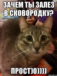 зачем ты залез в сковородку? прост)0))))