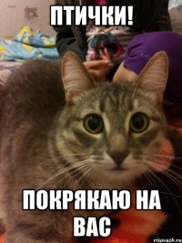 птички! покрякаю на вас