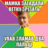 Мамка загадала ветку зрізать упав зламав два пальці