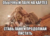 обычный паук на харлее ставь лайк и продолжай листать