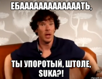 Ебааааааааааааать, ты упоротый, штоле, suka?!