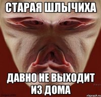 старая шлычиха давно не выходит из дома