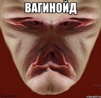 вагинойд 