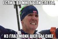 Если б во мне были слезы, из глаз моих шел бы снег.